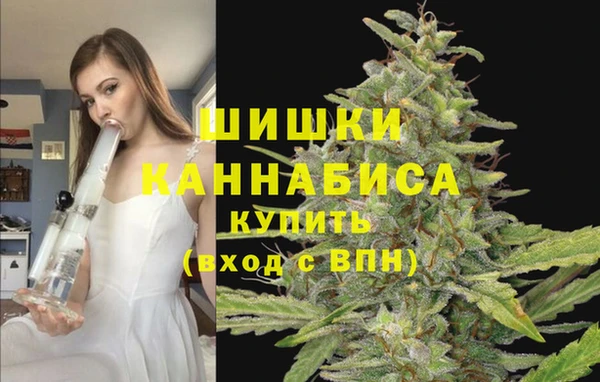 дурь Аркадак
