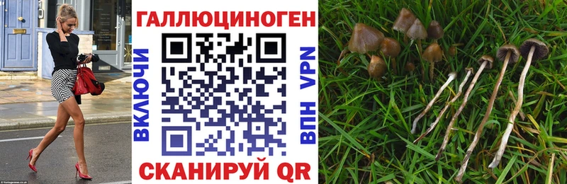 Псилоцибиновые грибы MAGIC MUSHROOMS  наркотики  Междуреченск 
